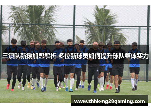 三镇队新援加盟解析 多位新球员如何提升球队整体实力