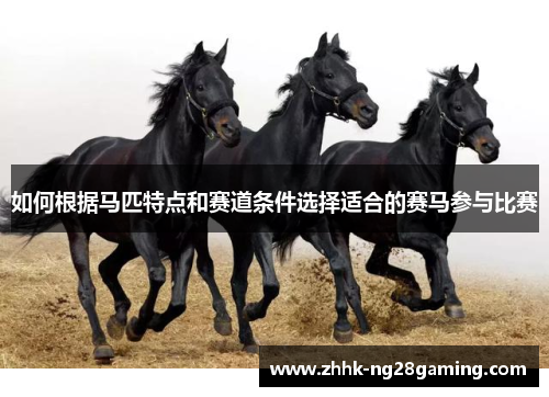如何根据马匹特点和赛道条件选择适合的赛马参与比赛