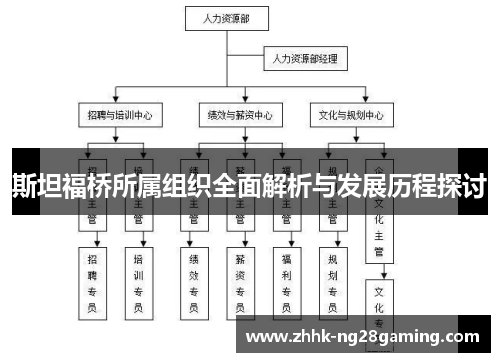 斯坦福桥所属组织全面解析与发展历程探讨 斯坦福桥所属组织全面解析与发展历程探讨