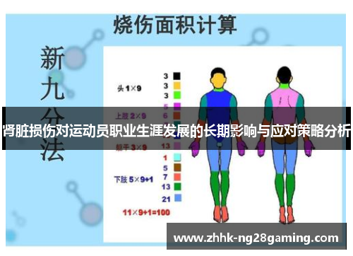 肾脏损伤对运动员职业生涯发展的长期影响与应对策略分析