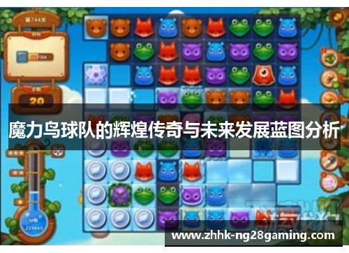 魔力鸟球队的辉煌传奇与未来发展蓝图分析