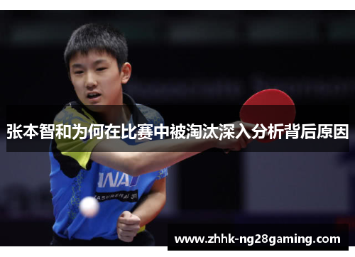 张本智和为何在比赛中被淘汰深入分析背后原因