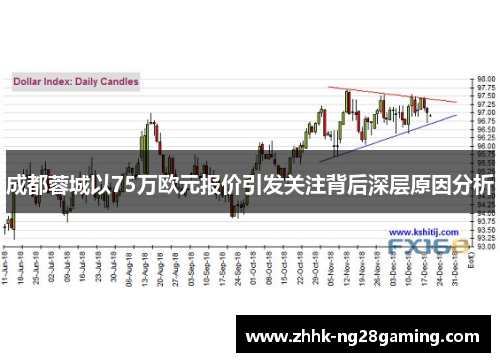 成都蓉城以75万欧元报价引发关注背后深层原因分析