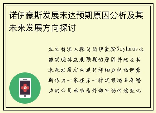 诺伊豪斯发展未达预期原因分析及其未来发展方向探讨